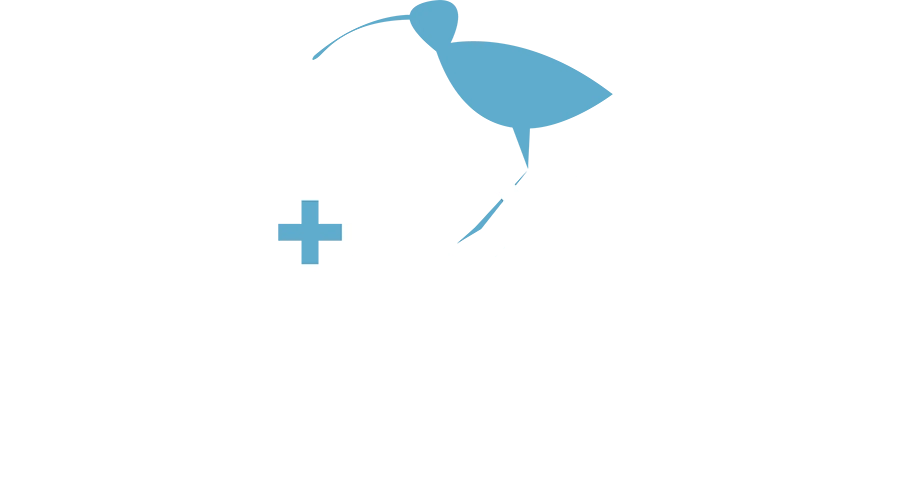 CROSS Cancer Research logo