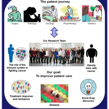 Patient Journey diagram — preview