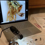 Science Week at Holy Child School, Killiney