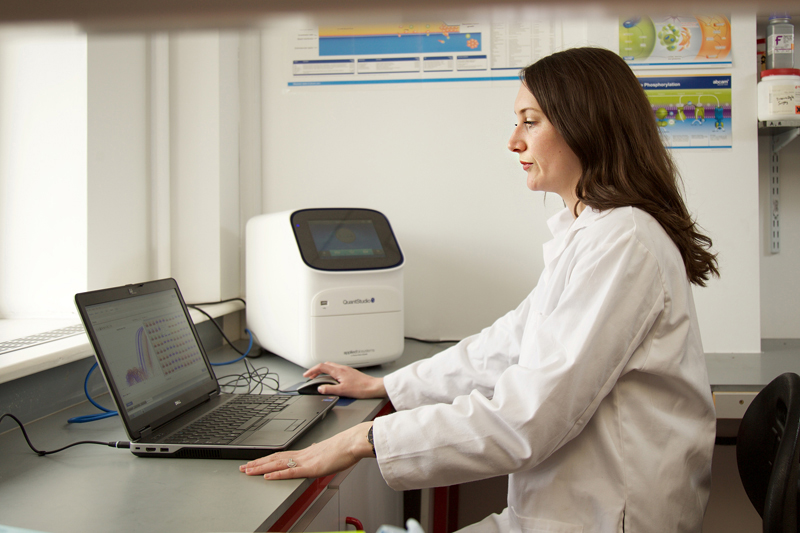 From bench to bedside: what “translational research” really means