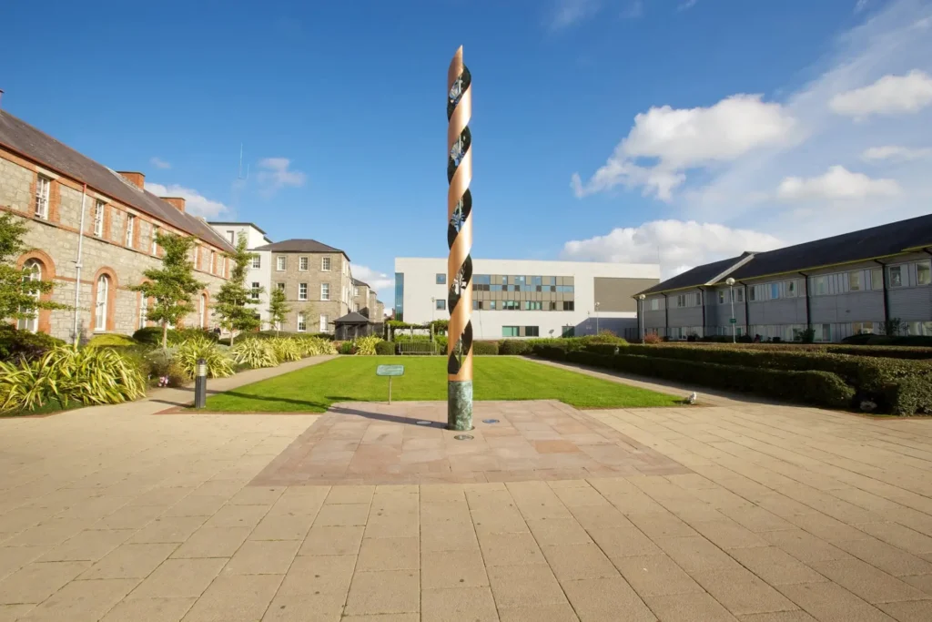 St James's Hospital, Dublin